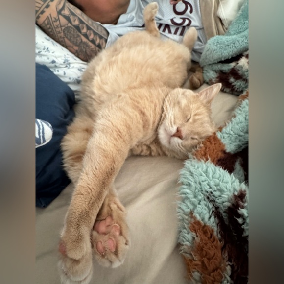 Meet your Posher, Ally - Picture 14 of 14